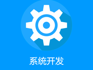 南昌做软件系统开发购物商城网站建设定制开发公司